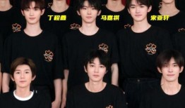 时代峰峻最新爆料,揭秘明星养成背后的秘密与挑战