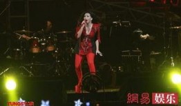 张惠妹爆料王力宏视频播放,张惠妹揭露王力宏视频播放背后的真相