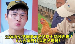 养鸡如何爆料视频,视频爆料揭示真实养殖过程