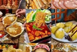 东北饮食爆料视频下载大全,揭秘热门饮食爆料视频下载大全