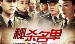 秘杀名单全集在线观看,揭秘暗杀风云，生死较量一触即发