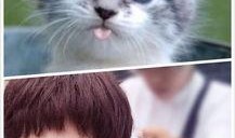 娱乐吃瓜小猫咪小说在线阅读,揭秘娱乐圈幕后风云