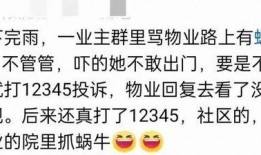 免费吃瓜群wx群,揭秘微信朋友圈中的欢乐盛宴