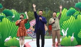 开平最新爆料新闻视频,视频揭露惊人真相，引发社会热议