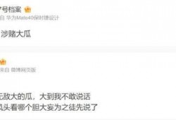 新瓜最新爆料消息,揭秘娱乐圈最新热点事件内幕