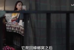 天涯爆料金莲姐视频,金莲姐视频引发热议，真相究竟如何？