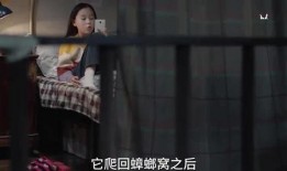 天涯爆料金莲姐视频,金莲姐视频引发热议，真相究竟如何？