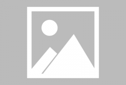 晚餐 在线观看,在线观看美食盛宴