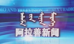 阿拉善前几年的爆料新闻,前几年爆料新闻背后的真相与反思