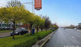 藁城爆料最新消息,揭秘事件背后真相与进展