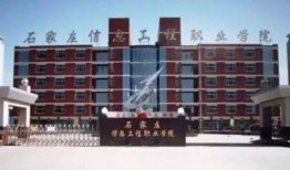 职业大学最新爆料,独家爆料带你走进校园风云