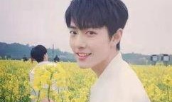 贵圈爆料肖战和杨紫视频