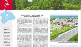 宇日俱增圈最新爆料,最新爆料背后的惊人真相