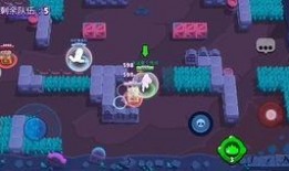 荒野乱斗内鬼爆料视频,揭秘游戏幕后黑幕与不为人知的秘密