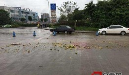 梅华车祸最新爆料新闻报道,事故原因揭秘，伤亡情况公布