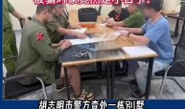 羊村最新爆料新闻,最新爆料新闻曝光惊人内幕