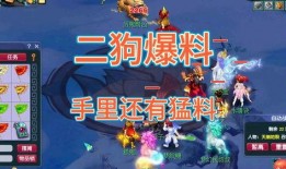 二狗爆料梦幻开赌场视频,二狗独家爆料视频引发热议