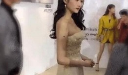 王蓉夫妻爆料事件真相视频,揭秘真相背后的惊人内幕