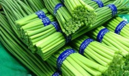 三只薯条爆料视频大全集,揭秘幕后真相与趣味瞬间