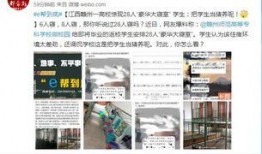 爆料视频赣州最新消息,揭秘赣州最新动态与热点事件