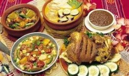 东北饮食爆料视频下载大全,揭秘热门饮食爆料视频下载大全