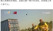 猪肉爆料视频大全集播放