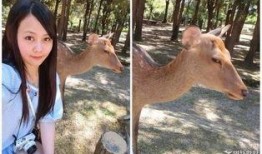 小鹿爆料齐齐结局视频,小鹿爆料视频揭示惊人真相