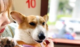 大懒猫娱乐八卦爆料吃瓜,娱乐圈最新八卦大揭秘！