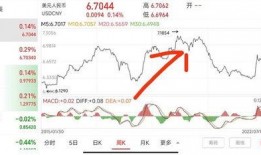 张捷爆料温铁军视频全集,张捷深度解析视频全集精华