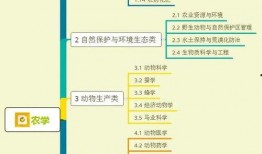 爆料河北密访视频大全集,视频大全集深度解析