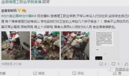 职业大学最新爆料,独家爆料带你走进校园风云