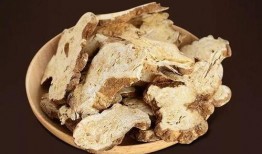 最新白术爆料新闻视频