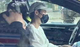 粉丝爆料王鹤棣视频播放,颜值与演技并存！