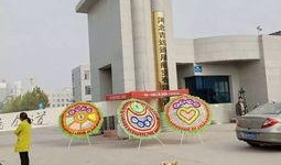 职业大学最新爆料,独家爆料带你走进校园风云