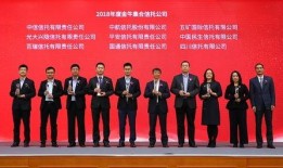 中信集团爆料新闻报道内容,揭秘企业内部惊人内幕