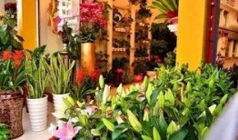 最新吃瓜爆料花店事件,揭秘最新吃瓜爆料背后的真相