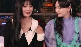 陈妍剧院爆料事件真相视频,揭秘真相背后的惊人内幕