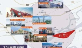 搭塔高手娱乐大爆料,娱乐大爆料背后的精彩故事