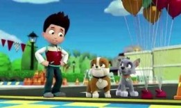 旺旺心事在线观看,在线观看背后的感人故事