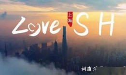 魔都最新爆料新闻视频