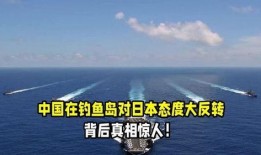 钓鱼岛真相 在线观看,揭秘历史与现实的较量