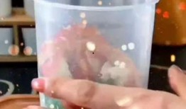 网红杯子爆料视频播放,揭秘幕后真相与热门话题