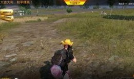 ss9赛季最新爆料吃鸡,揭秘战场新格局与战术革新