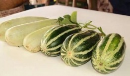 吃西湖瓜的网红有哪些人,网红们的瓜田人生