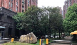 杭州临平爆料案件最新情况,疑点重重，真相渐明