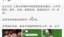 番茄猛料爆料视频,视频爆料背后的惊人真相