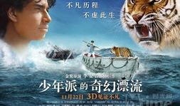 少年派奇幻漂流在线观看,一场惊心动魄的海洋求生之旅