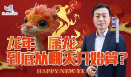 龙宝宝最新爆料视频播放,精彩瞬间大盘点