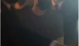 网友爆料小绵羊视频大全,小绵羊视频大全，揭秘娱乐圈幕后故事