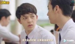 逐月之月全集在线观看,月月精彩，全集在线观看，尽享月色盛宴